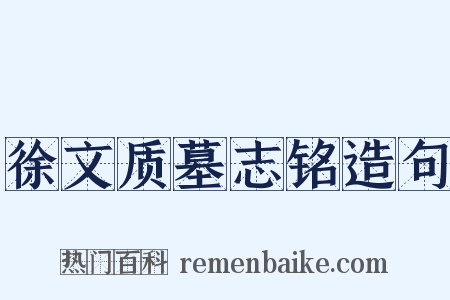 徐文质墓志铭造句是什么意思的图片